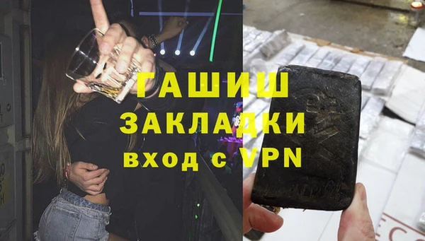 гидра Няндома