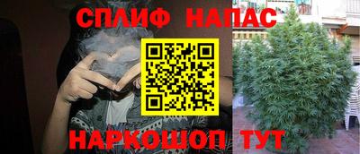 соль ск Шахты