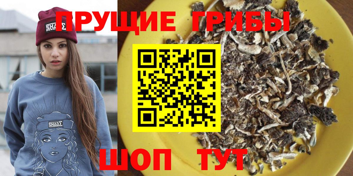 Галлюциногенные грибы Magic Shrooms  Вход с VPN  Челябинск 